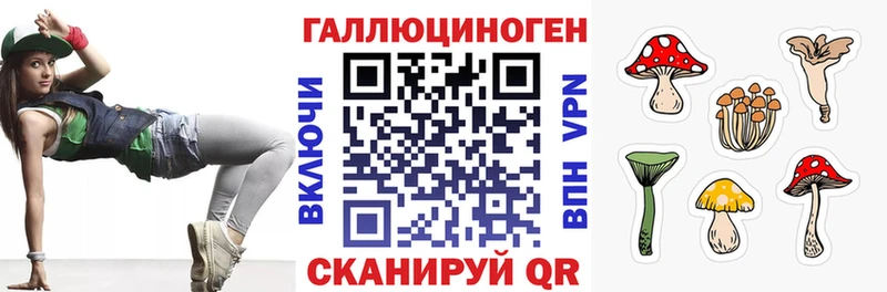 Галлюциногенные грибы Psilocybine cubensis  Переславль-Залесский 